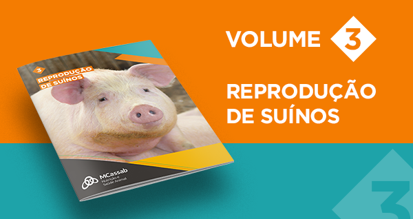 reproducao de suinos